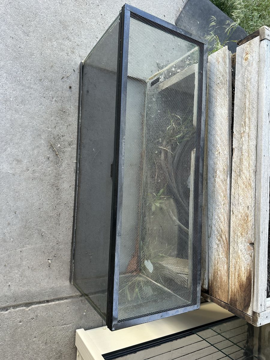 36 gallon tank