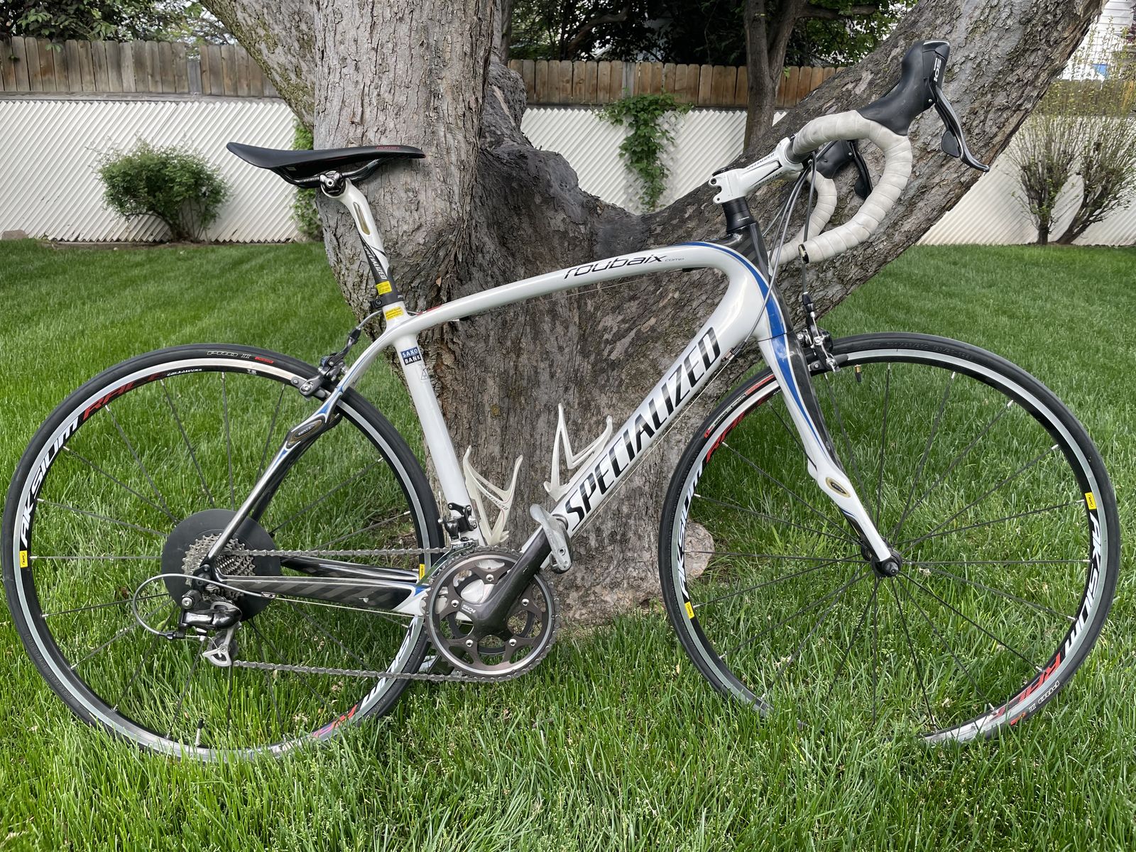 Specialized 2010 Roubaix Comp Road Bicycle