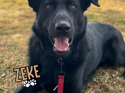 Give Zeke the Second Chance He Deserves