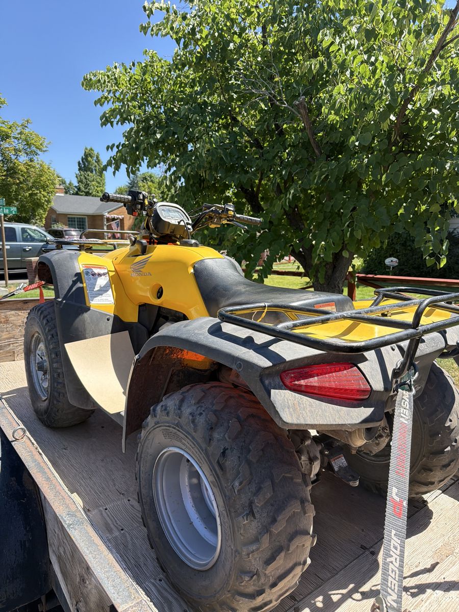 Estate Sale: GIGANTIC