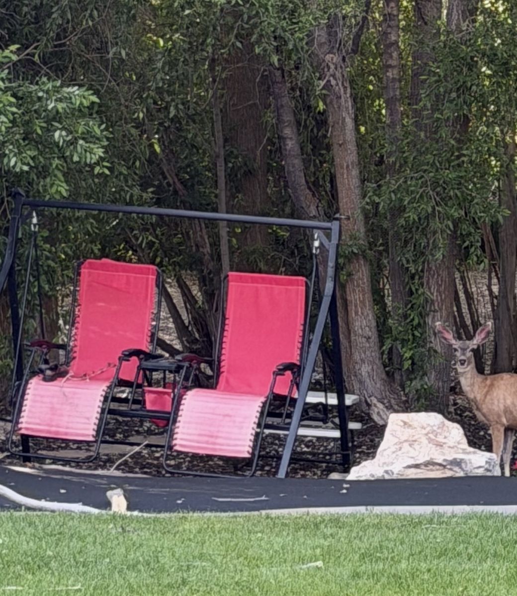 Outdoor Patio Swing with Two Red Chairs - Durable Metal Frame, Comfortable Seating