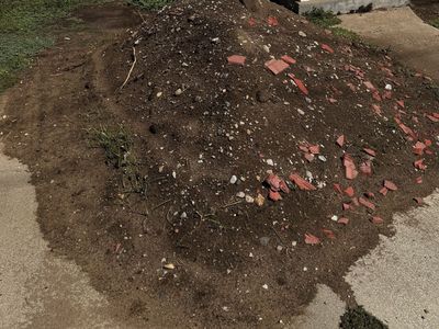 Filling dirt