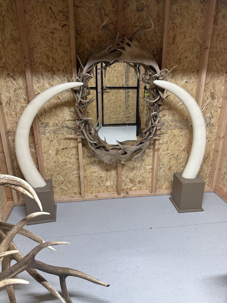 Replicate elephant tusks