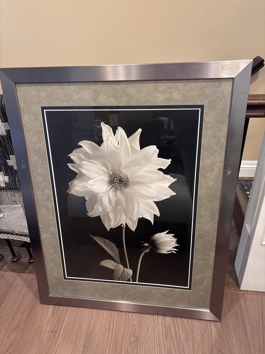Serene black and white floral print 36x46