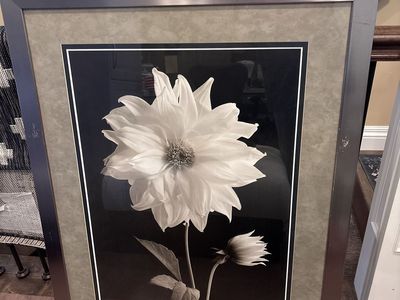 Serene black and white floral print 36x46