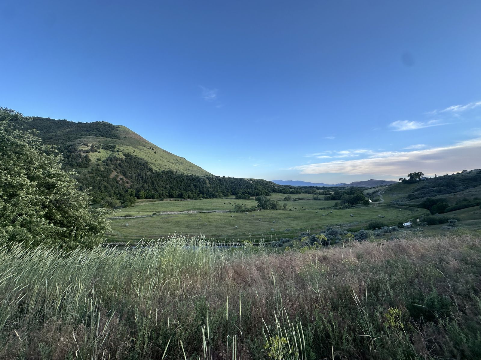 Main image 2