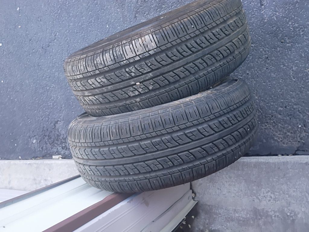 (2)Geostar Radial NST 225/60R15