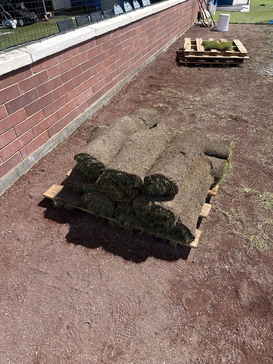 Fresh sod