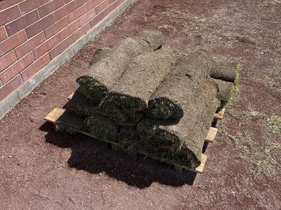 Fresh sod