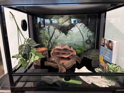 Repti Zoo 34-Gallon Glass Terrarium Bundle with Hides & Decor