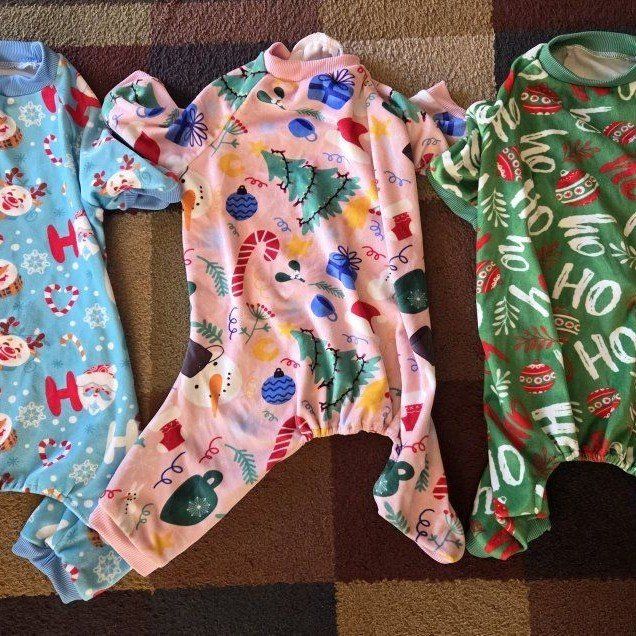3 cute dog Christmas onesies