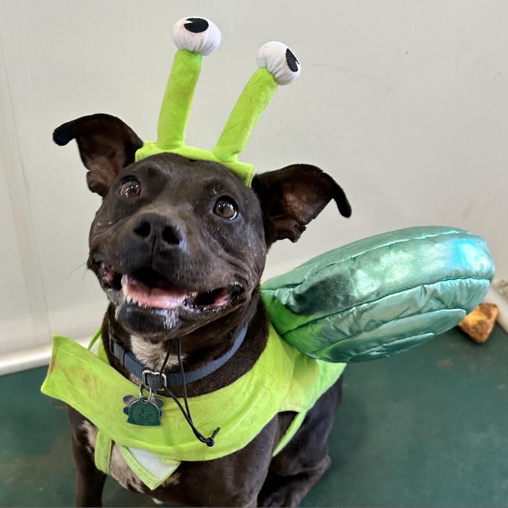 Hello my name is Bea Arthur