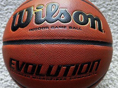 Wilson Evolution Game Ball