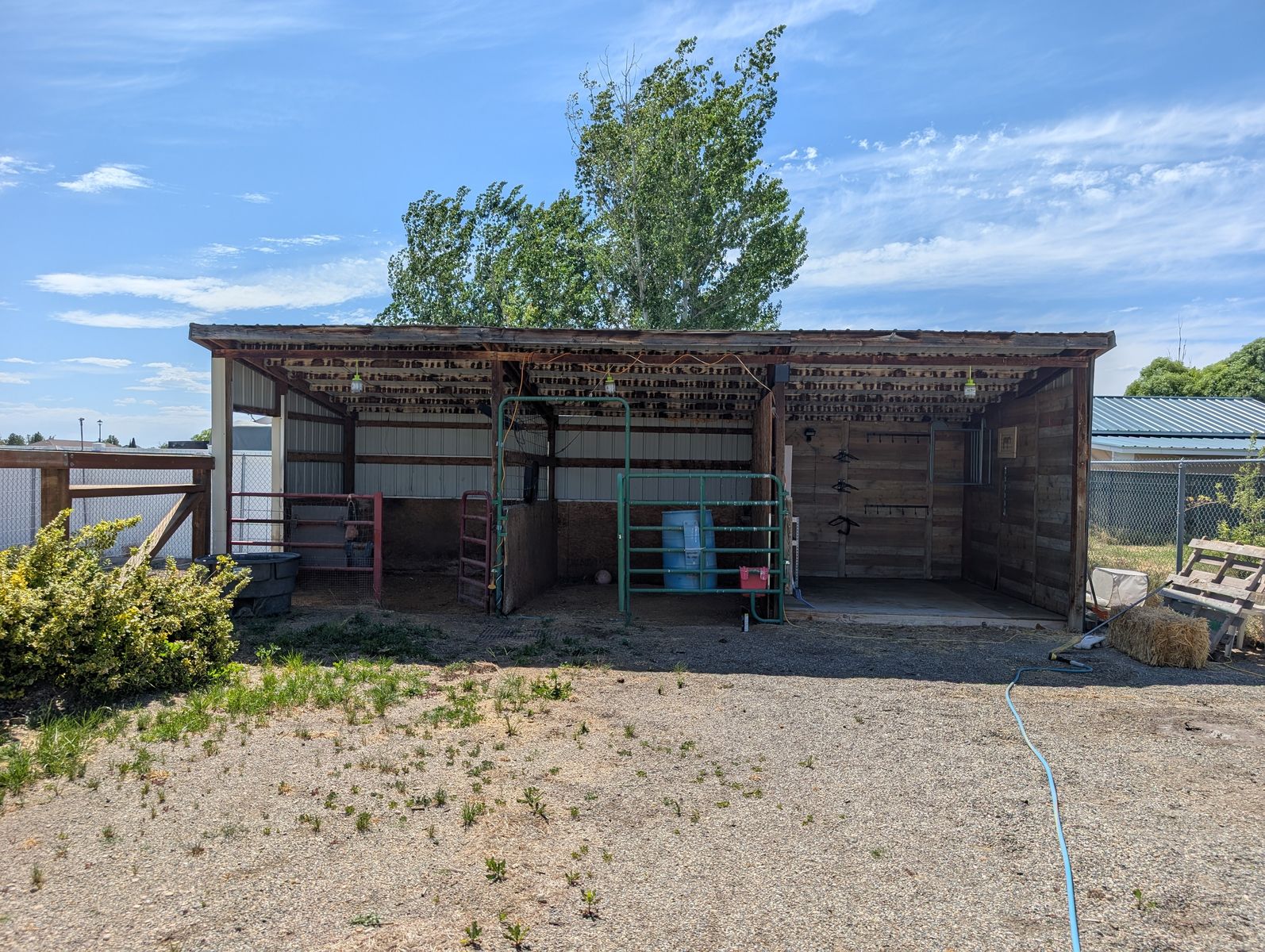 Main image 8