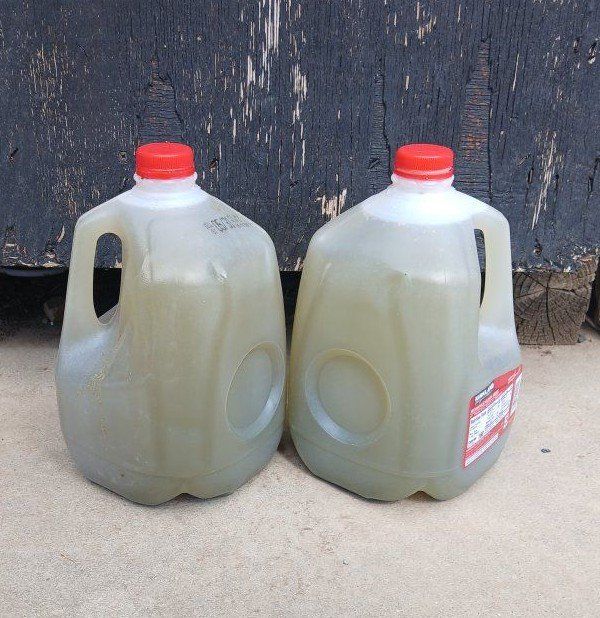 Natural Liquid Fertilizer, Poopy Duck Water
