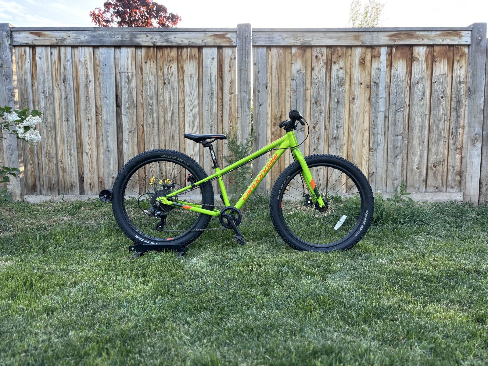 Cannondale Cujo 24