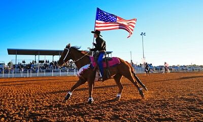 Junior Rodeo Horse