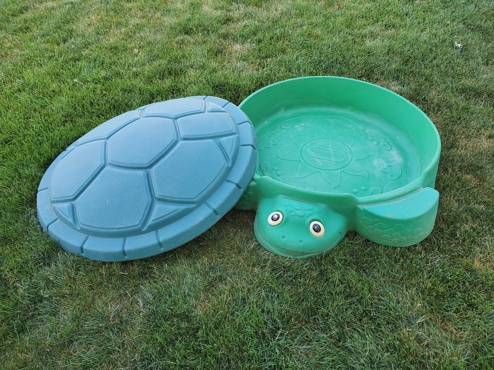 Turtle Sandbox