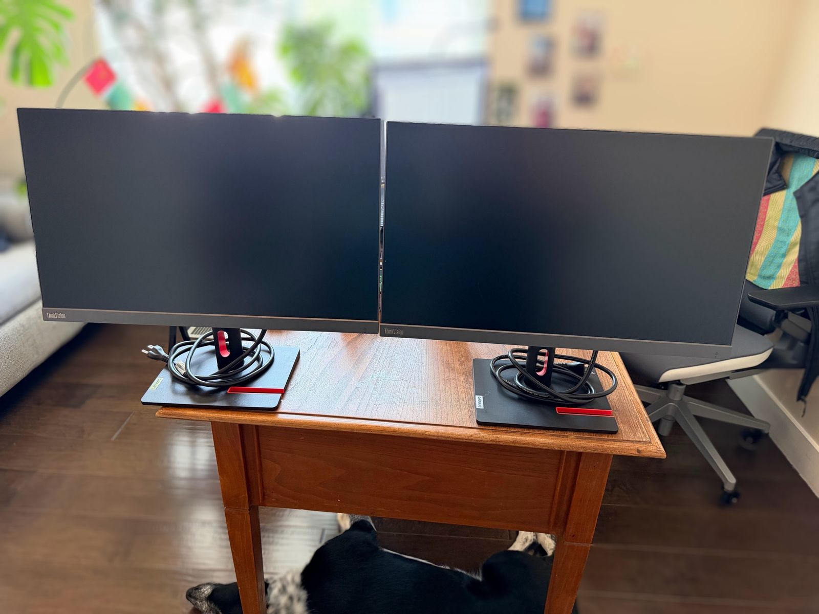 Lenovo ThinkVision Monitors - Dual 24-inch FHD LED Displays