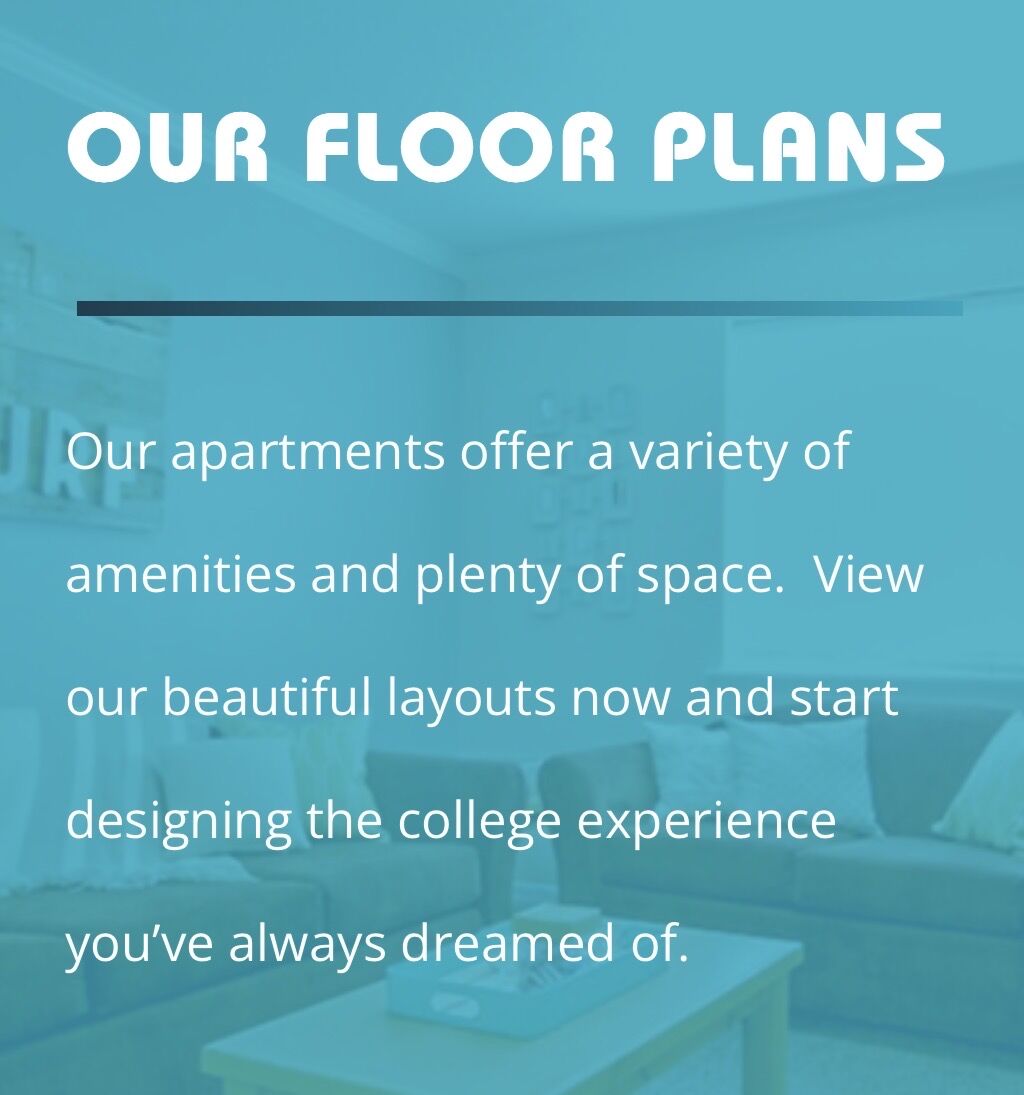 AFFORDABLE Spring semester Apartment BYU-I LeaSe