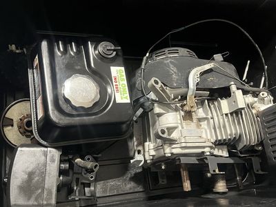 196cc Coleman CT200U engine