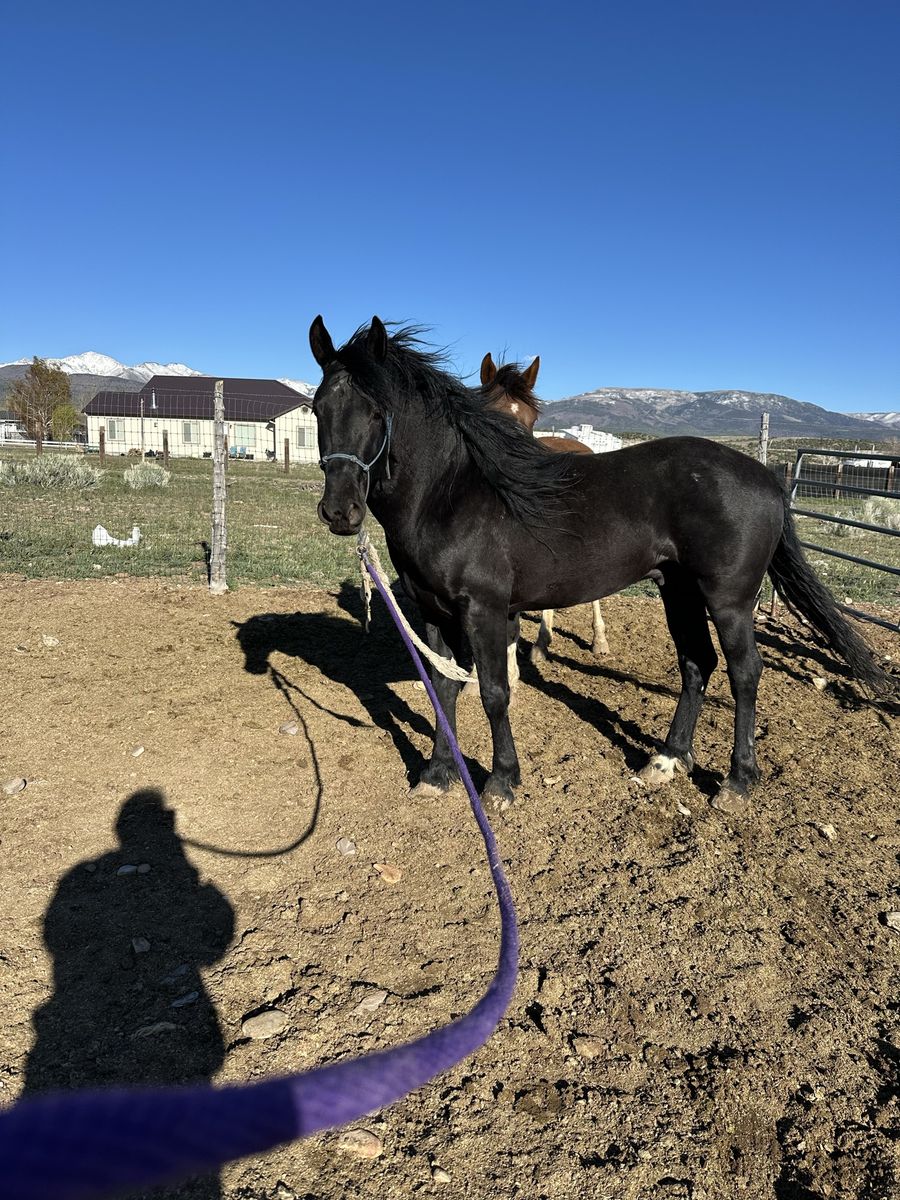 3 Year Of Grade Stud