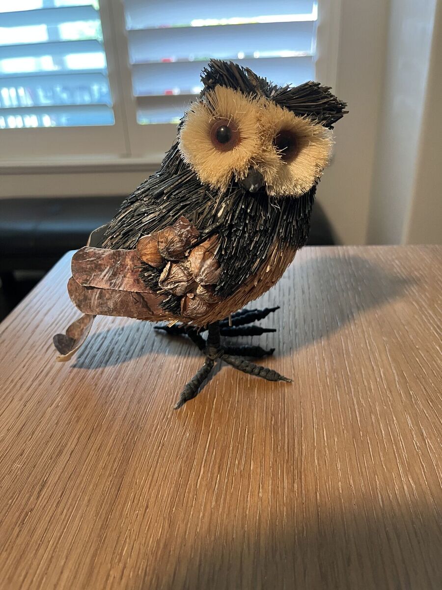 Owl