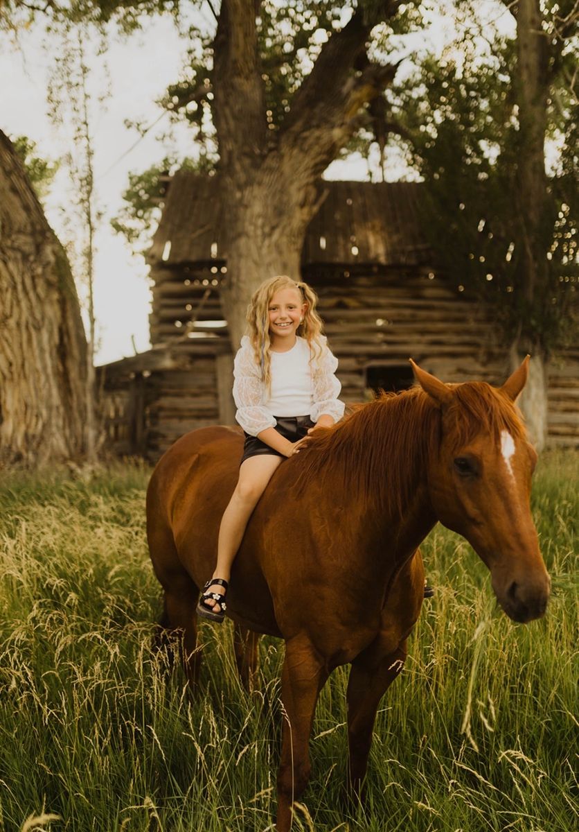 16 Year Old Heber Valley Horse Sale