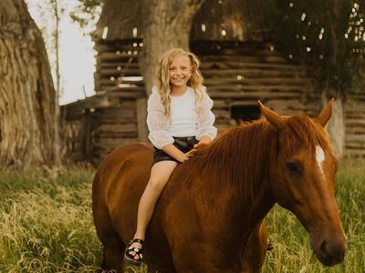 16 Year Old Heber Valley Horse Sale