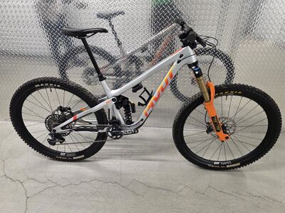 Pivot Firebird Medium 29