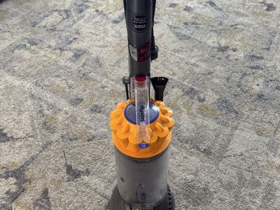 Dyson Ball Vacuum