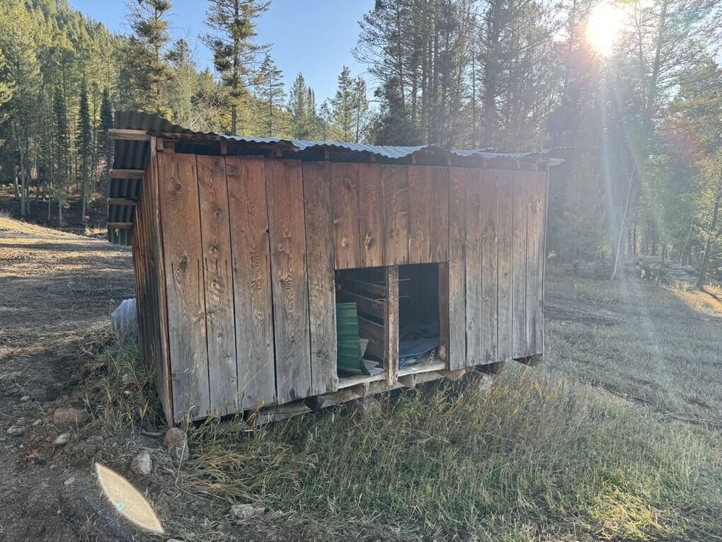 Dog House/Chicken Coop