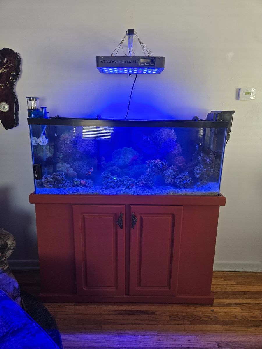 55 gallon salt water tank and stand