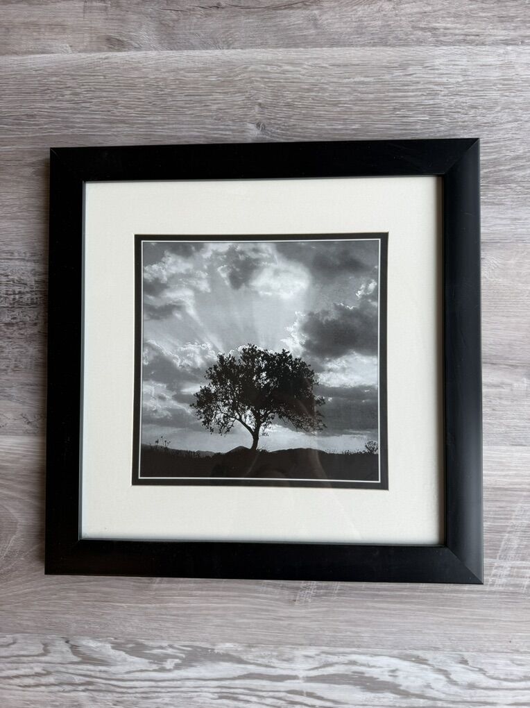 Framed And Matted Tree Picture