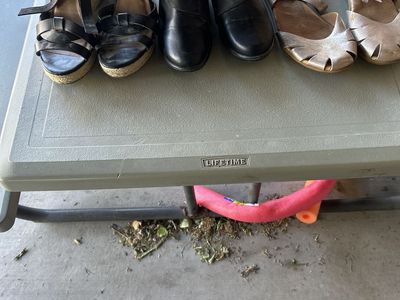 Size 11 shoes