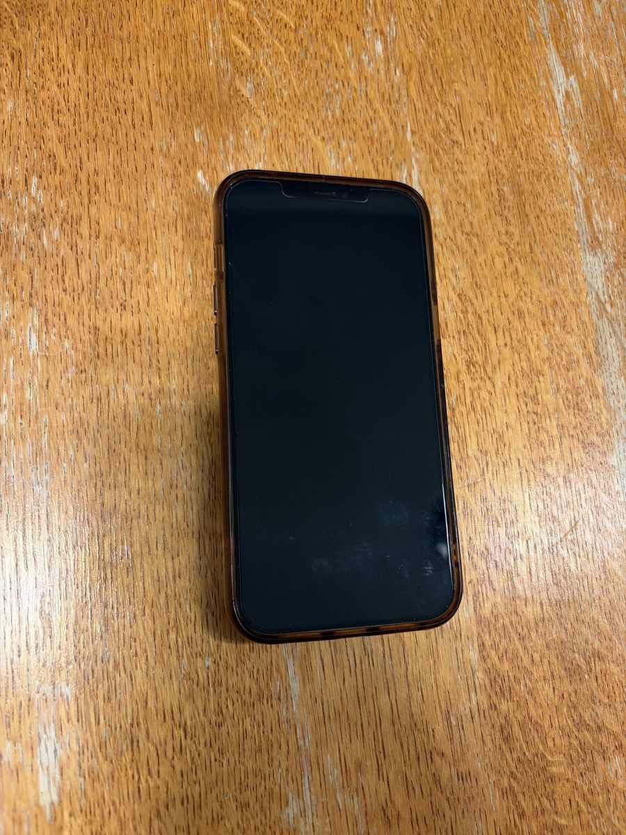 iPhone 12 Pro Max 512 GB