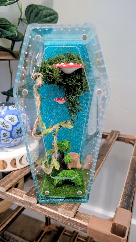 jumping spider enclosure, jumping spider terrarium house with accessories. no spider