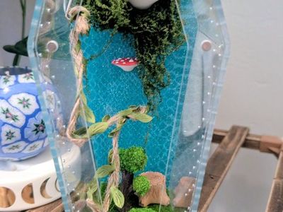 jumping spider enclosure, jumping spider terrarium house with accessories. no spider