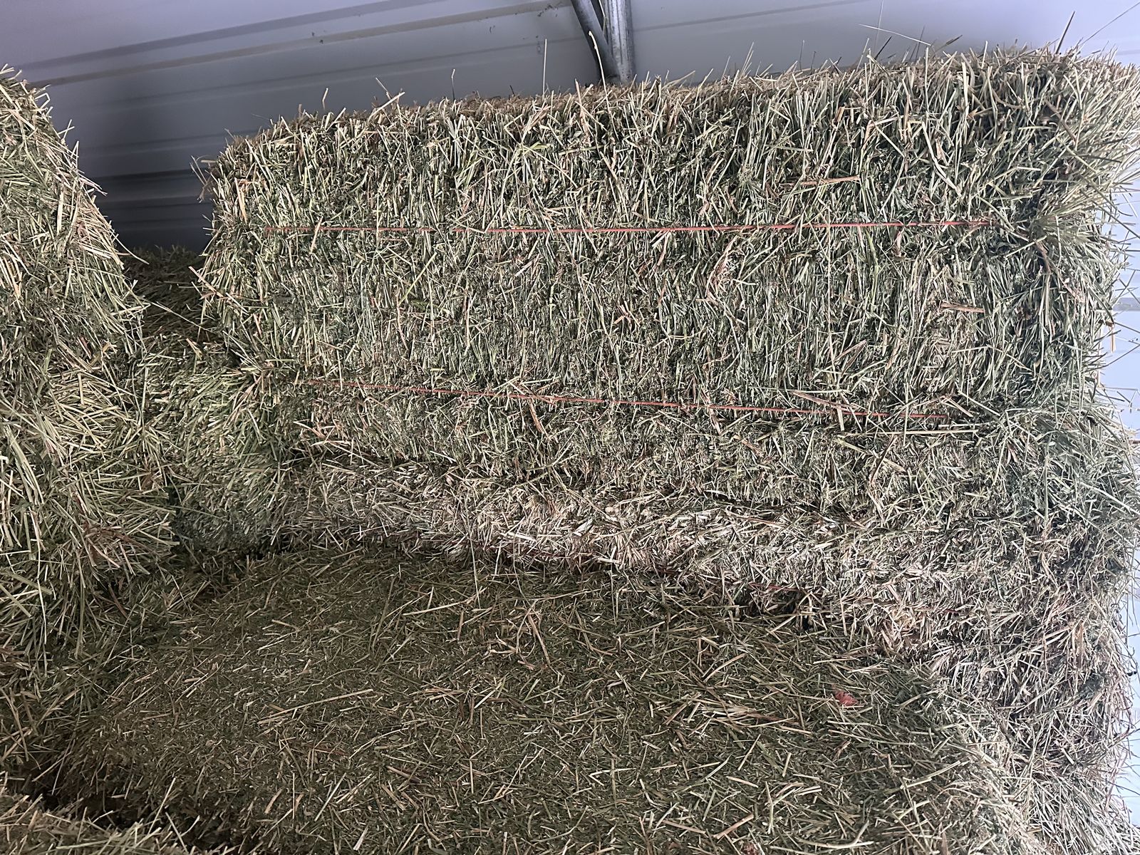 2nd Crop Premium Alfalfa Hay