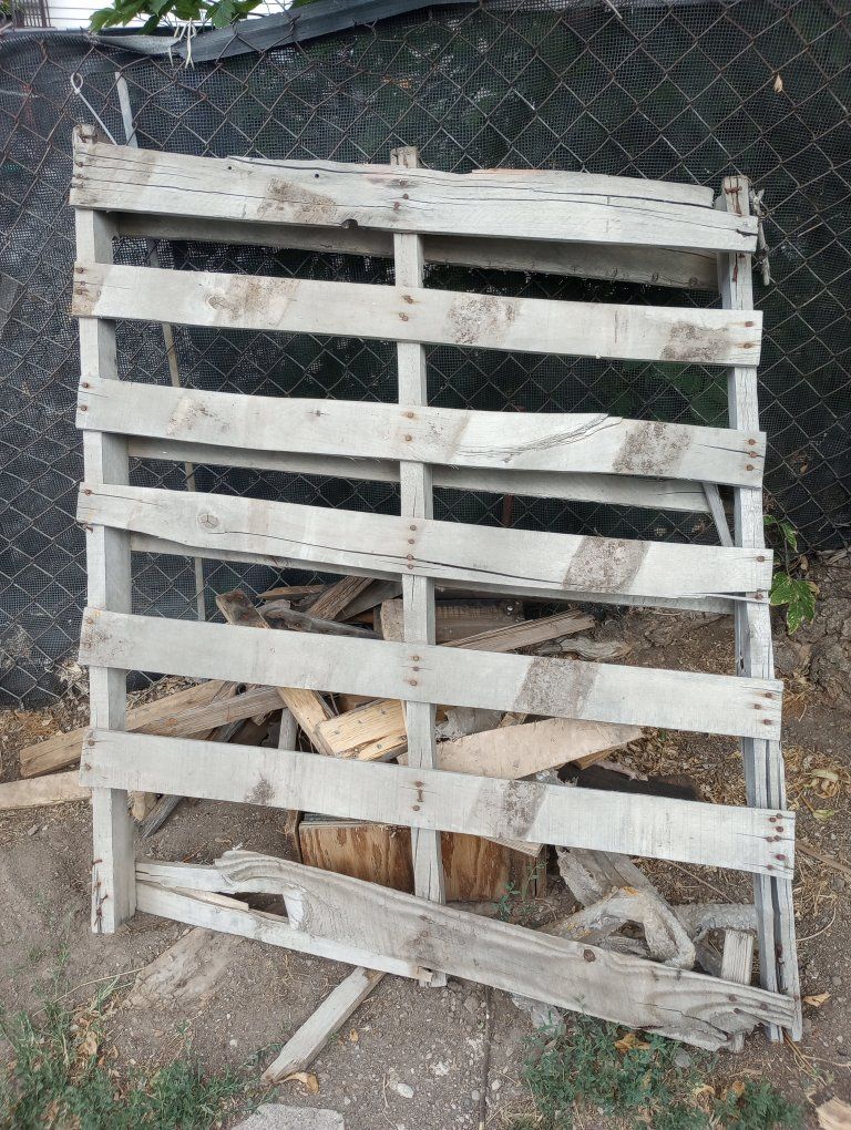 Main image 2