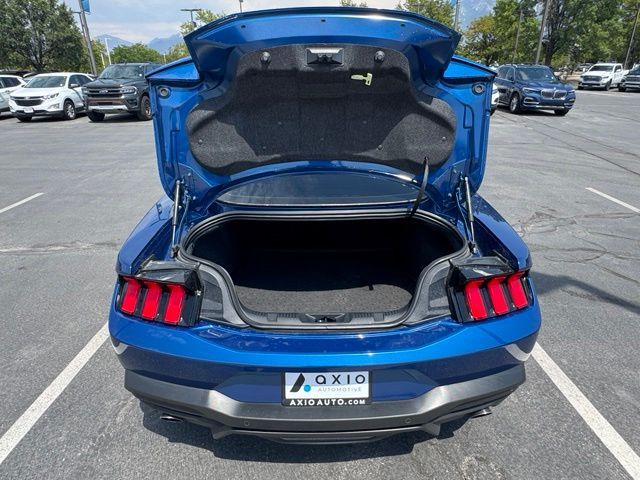Main image 22