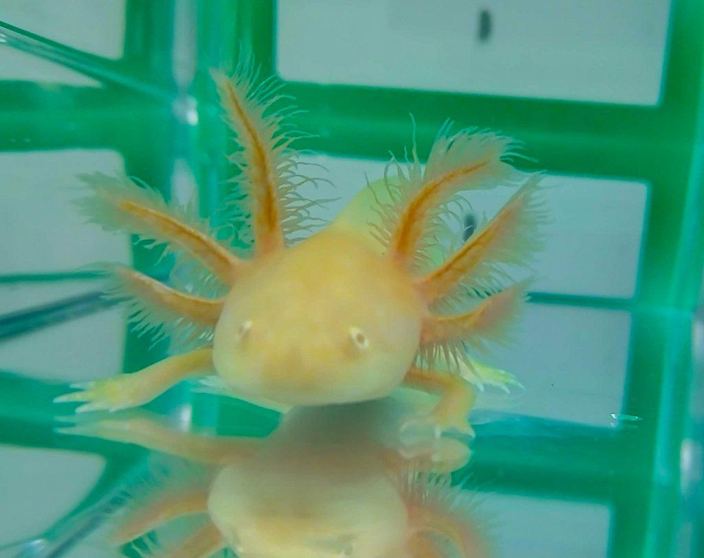 Main image 3