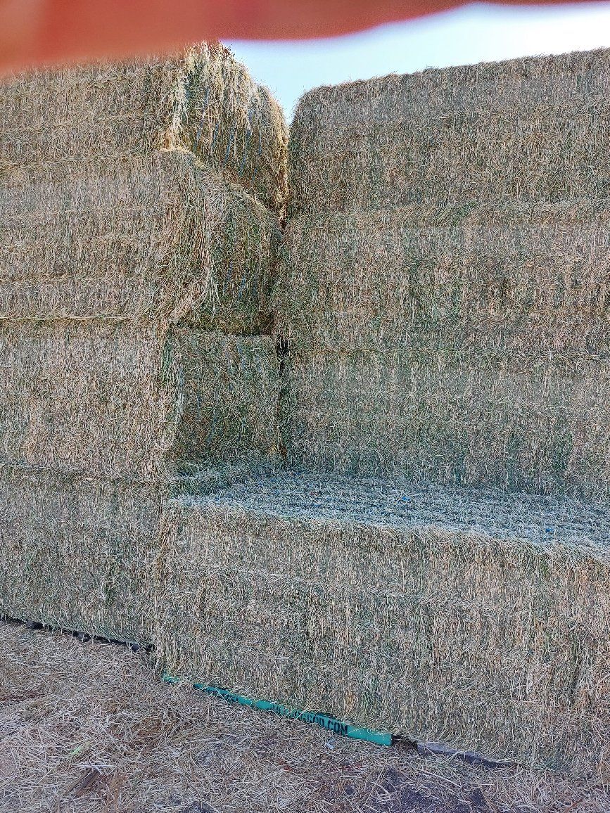 3ftx4ftx8ft alfalfa bales