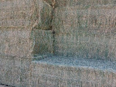 3ftx4ftx8ft alfalfa bales