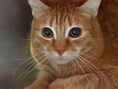 Hello my name is Galadriel