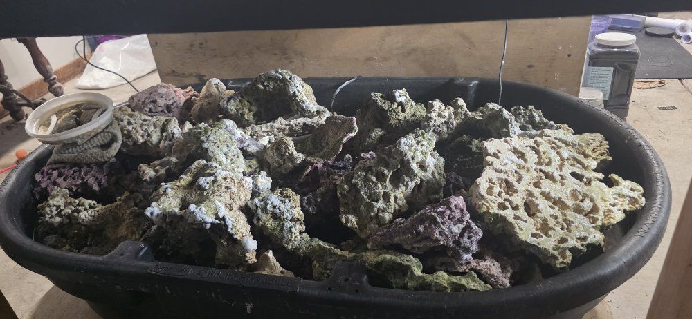 live rock/dry rock reef rock