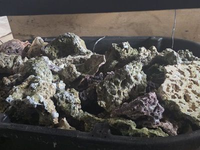 live rock/dry rock reef rock