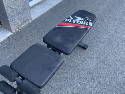 FLYBIRD Adjustable Weight Bench Foldable Workout Bench