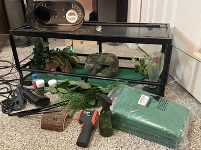 Fully Stacked Reptile Enclosure