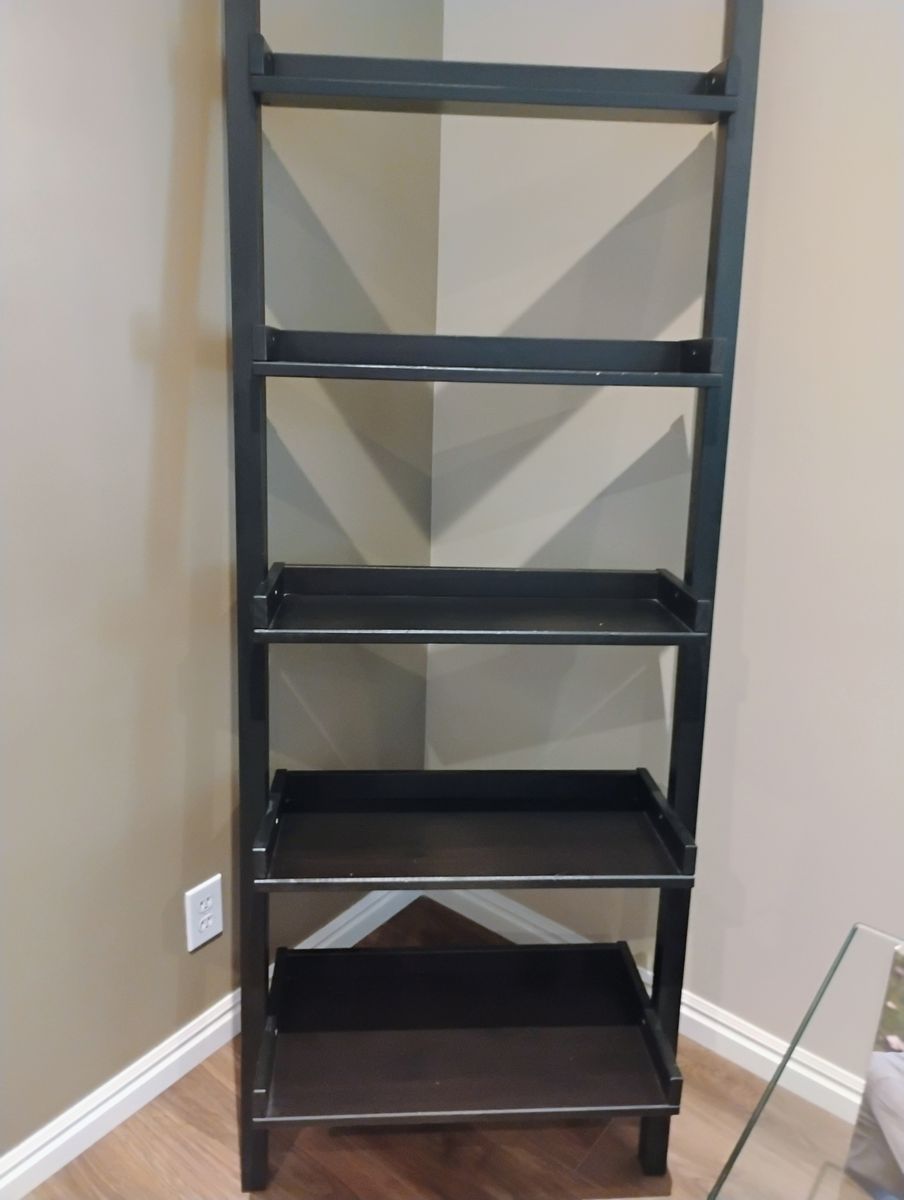 Ladder for Pictures and  Knick knacks
